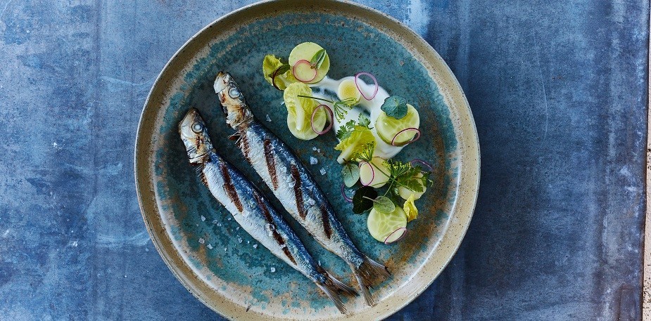 ليه الأسماك فى كل مكان