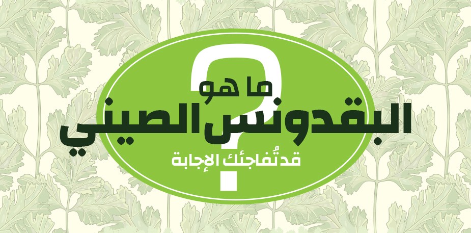 البقدونس الصيني؟