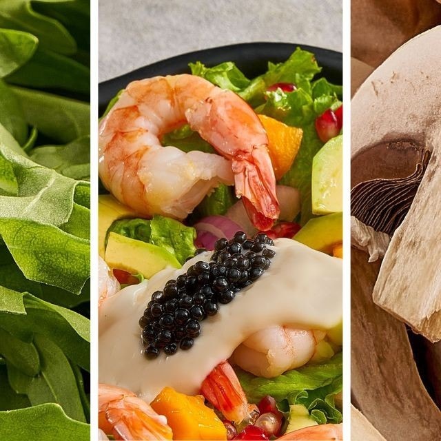 احصل على كتاب الوصفات الحصري من الشيفات مجانًا