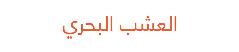 العشب البحري العشب البحري