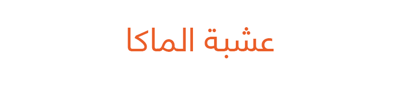 عشبة الماكا عشبة الماكا