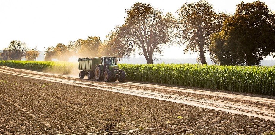 إزاي منتجات كنور بتتغير علشان تكون معمولة من مصادر مستديمة