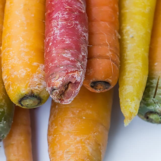 مواصفات "من الحديقة إلى الطاولة"