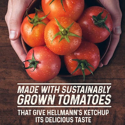 Hellmann's Ketchup (5Kg) - 