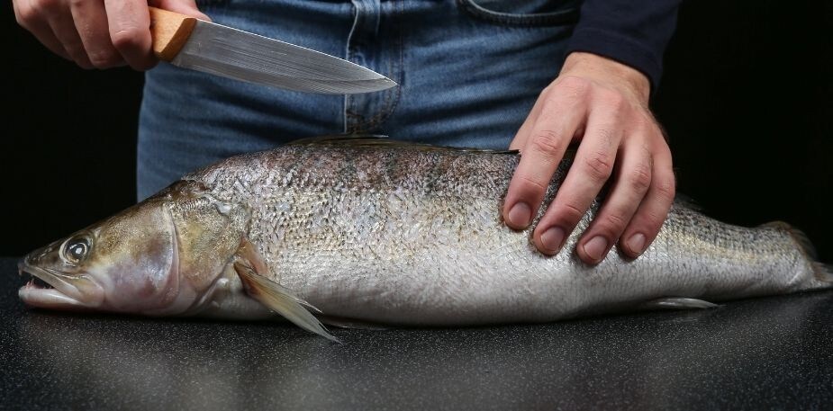 Sennara’s Chefs’ Tips on How to Differentiate your Seafood Menu