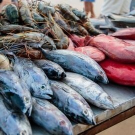 Tip #3: Freshness of the seafood Tip #3: Freshness of the seafood