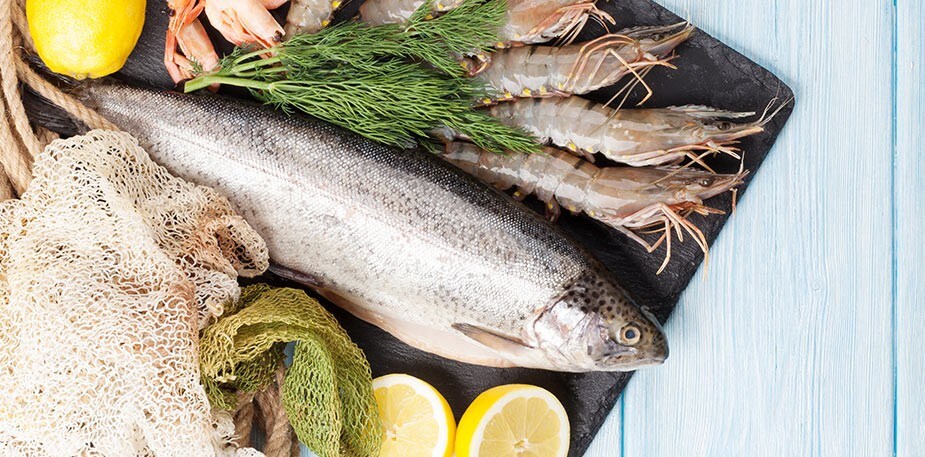 Fish & Seafood: Recipes on Trend