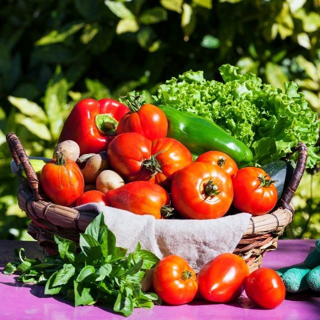 Sourcing and Quality of Ingredients: Sourcing and Quality of Ingredients: